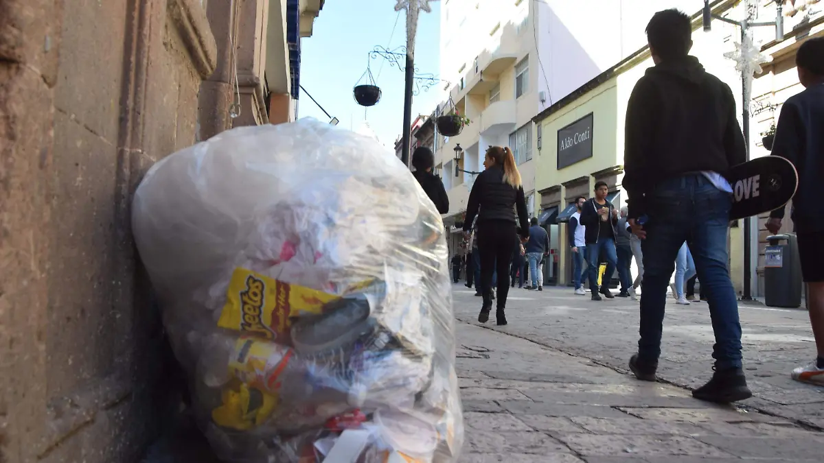 f carmona bolsa de plastico (5)